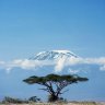 kilimanjaro